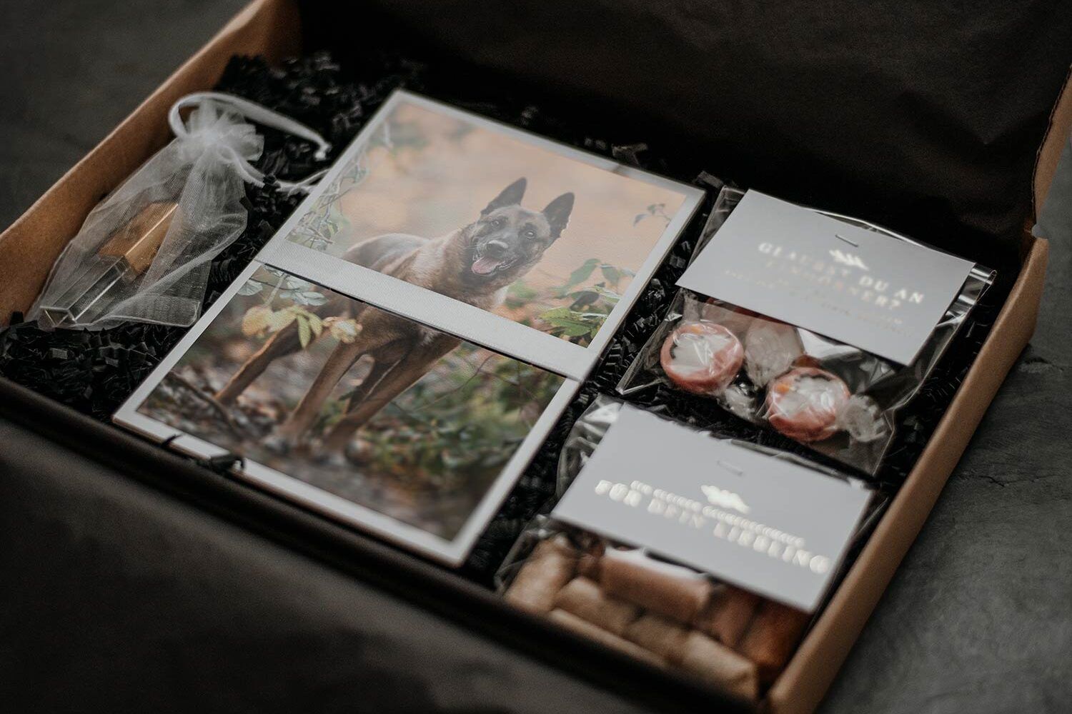 Foto-Box von einem Hundeshooting mit Foto-Abzügen, USB Stick und Goodies