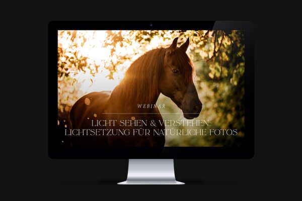 Licht sehen & verstehen: Die perfekte Lichtsetzung für natürliche Fotos