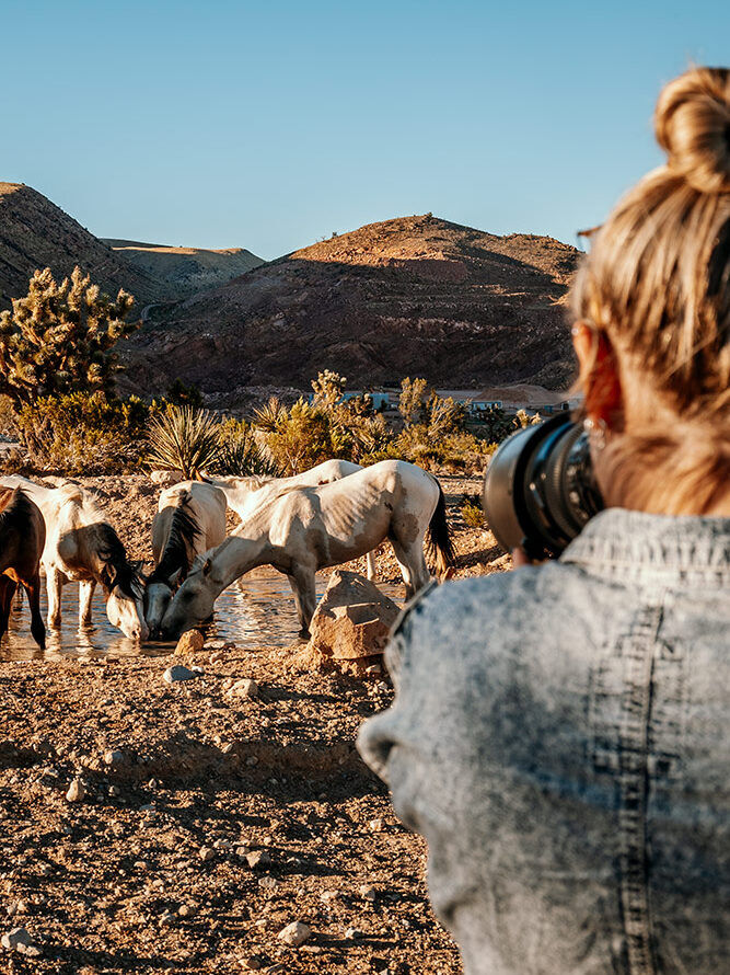 Fotografin mit Kamera beobachtet Pferde, die an einem Wasserloch in einer Berglandschaft trinken