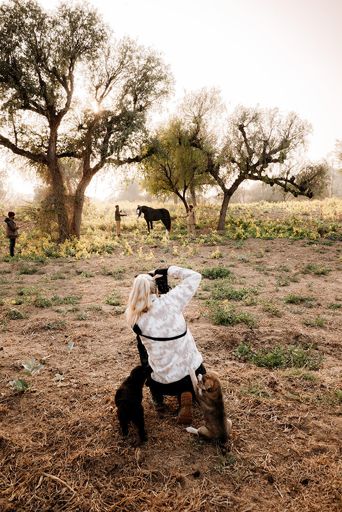 Fotografin kniet mit zwei Hunden neben sich auf einem Feld und fotografiert ein schwarzes Pferd